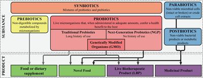 From fecal microbiota transplantation toward next-generation beneficial microbes: The case of Anaerobutyricum soehngenii